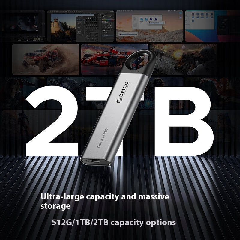 ORICO 1TB External Portable SSD Ultra-Fast 460MB/s Speed